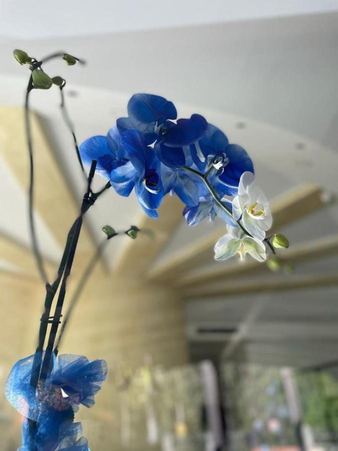 ปาร์ค โฮเต็ล อัวซี Hotel มาสคาลิ ภายนอก รูปภาพ